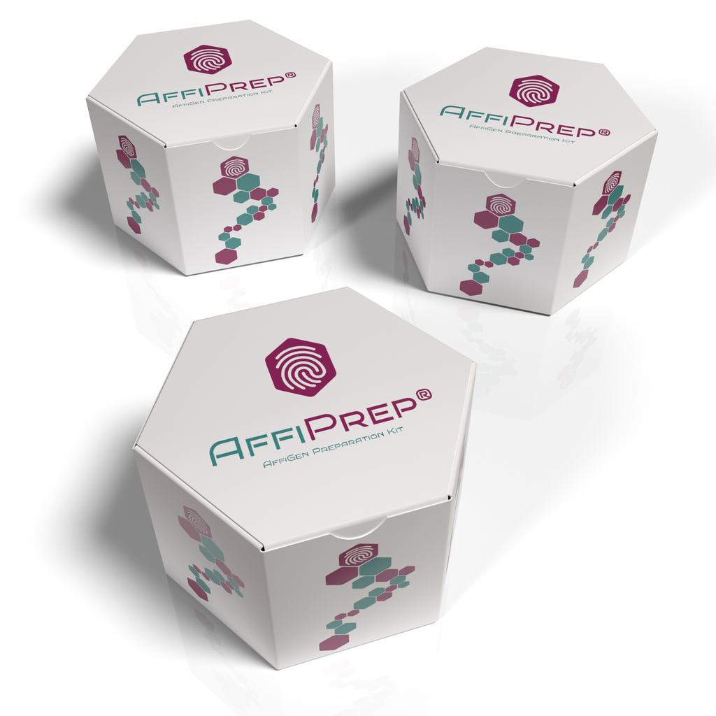 AffiPREP®​ Box of 100 medium quantitative pleated filter, 150 mm